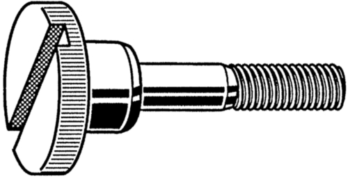 Slotted knurled thumb screw high type DIN 464-Sz Stainless steel A1