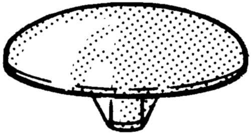Capuchon pour vis pour aggloméré à tête fraisée à empreinte cruciforme Plastique Polyamide (nylon) 6.6