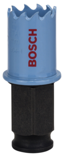Bosch Vykružovací pily SHEETM P-CHANGE 21MM