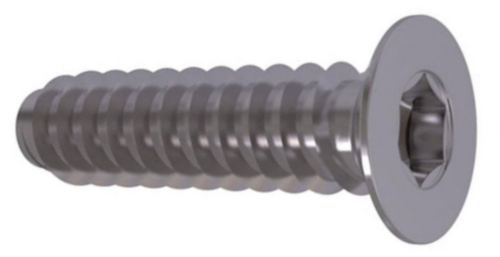 Hexalobular socket countersunk head tapping screw ISO 14586 F Steel Zinc plated