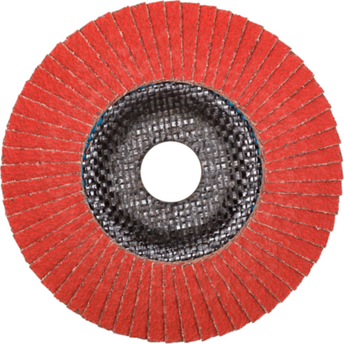 Tyrolit Flap disc 125X22,23 K40