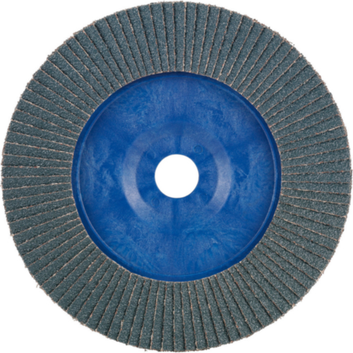 Tyrolit Flap disc 125X22,23 60