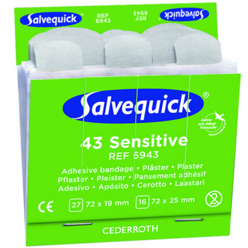 Salvequick Pleisterdispenser BOX 6PC