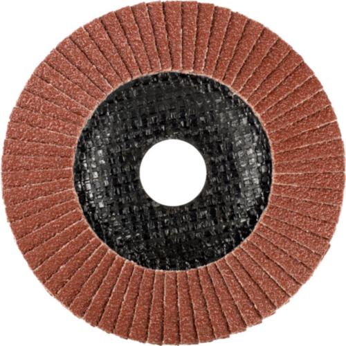 Tyrolit Flap disc 125X22,23 K60