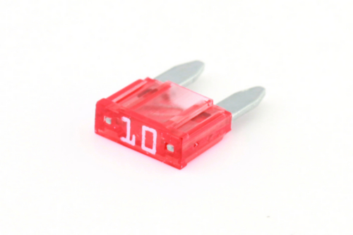 RIPCA 50PC MIF10 MINI FUSE 10A RED