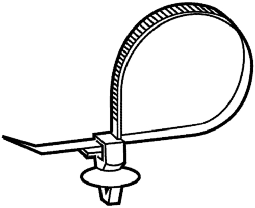 Cable ties with mount
