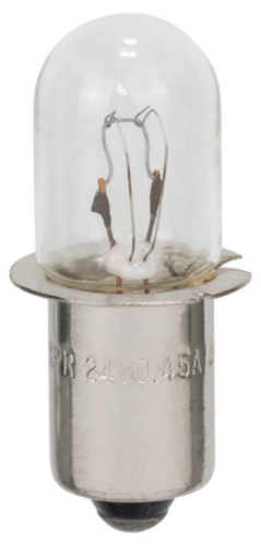 Bosch Žárovka SPARE BULB 24 V