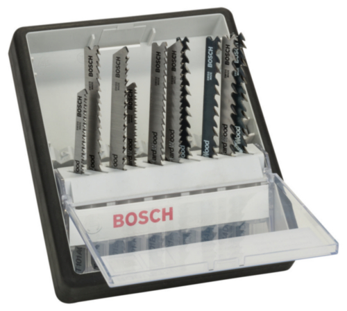 Bosch Decoupeerzaagblad set Robust Line Expert set 10dlg