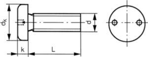 SECURITY Pancilinderschroef met 2 gaten Roestvaststaal (RVS) A2