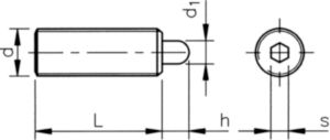 Spring plunger with plastic pin and hexagon socket Free-cutting steel M10X22