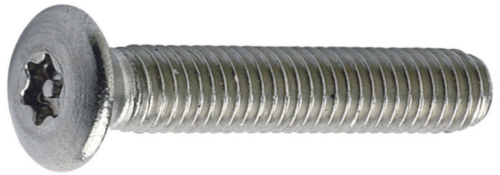 SECURITY Hexalobular socket raised countersunk machine screw with pin Stainless steel A2