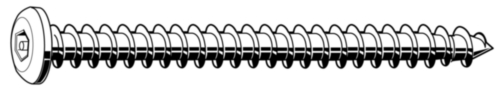 SECURITY Hexagon socket button head tapping screw with pin Stainless steel A2 ST6,3X19MM