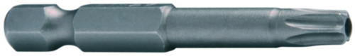 SECURITY Bit for screws with hexalobular socket with pin, 50mm Stal TX40